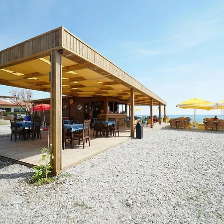 Отель Risus Park