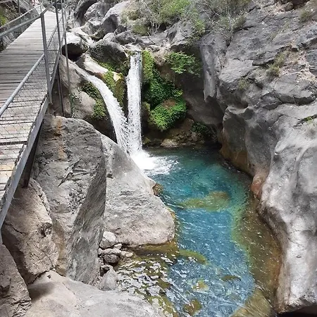 Отель Risus Park