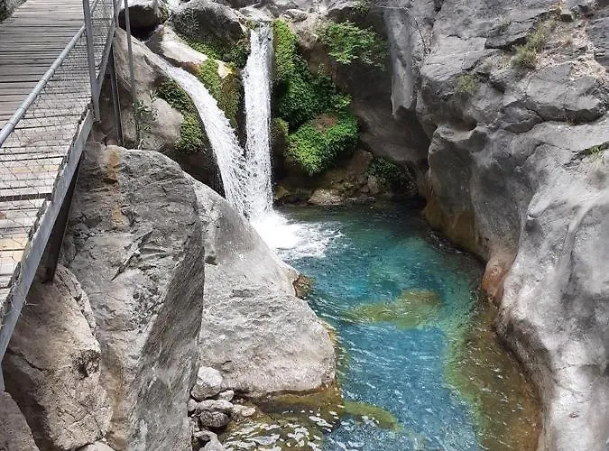 Отель Risus Park