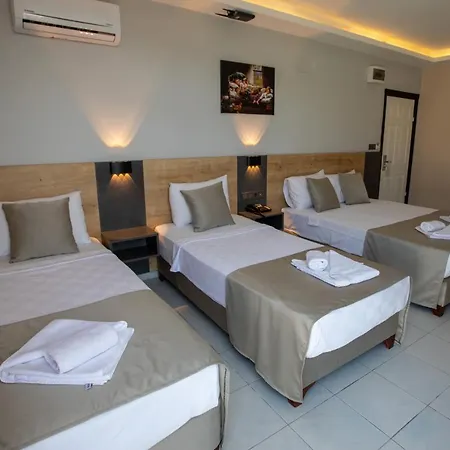 Risus Park 호텔 알란야