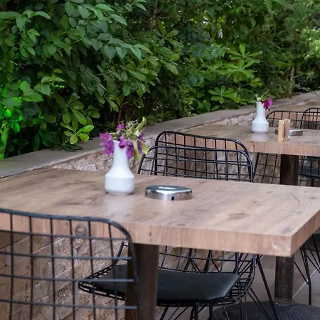 Risus Park 3* 알란야